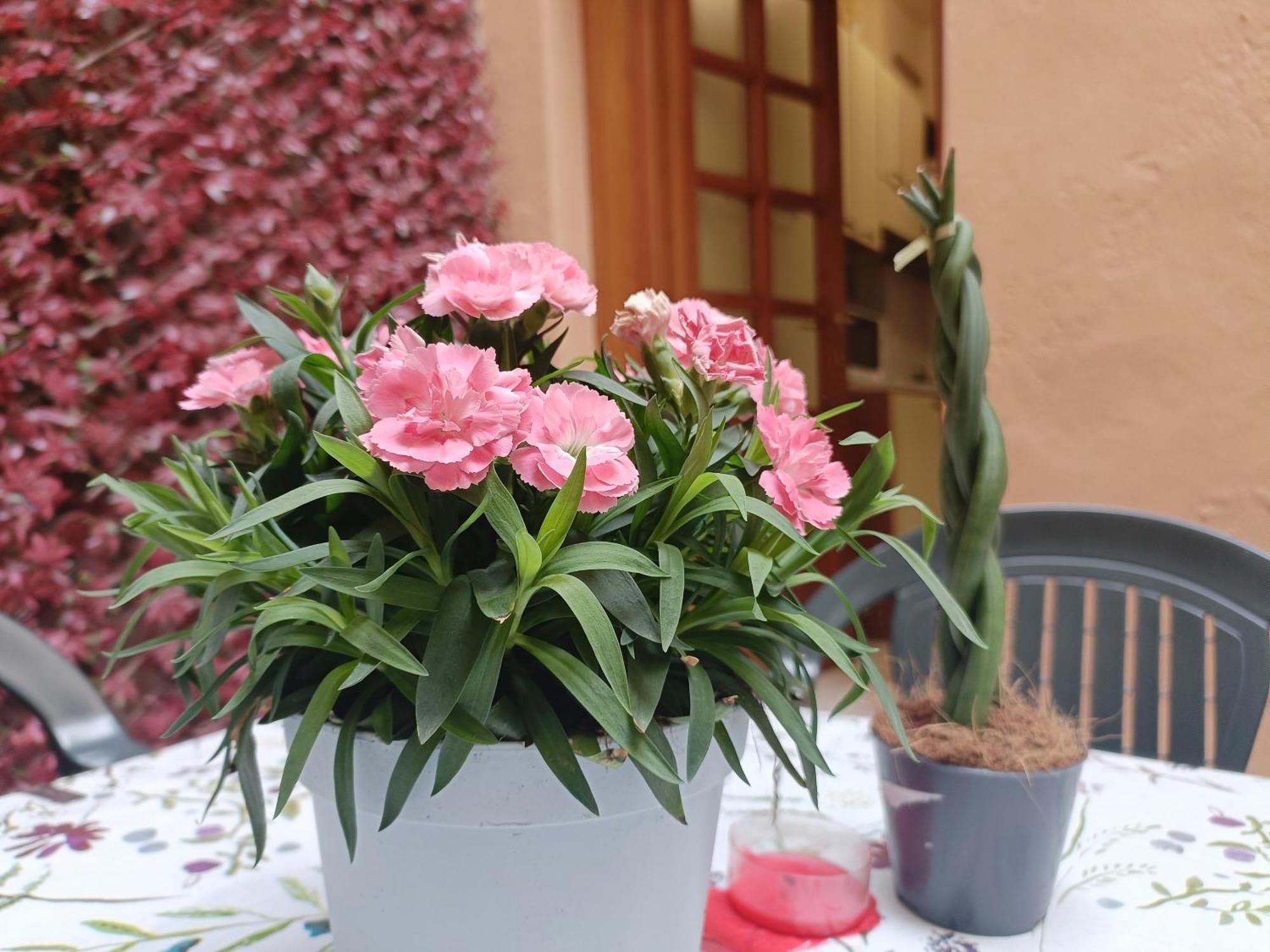 Il Giardino Segreto Apartment Lucca Exterior foto